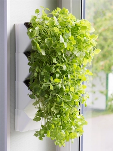 AQUAEL Zielnik ścienny Versa Garden Herbs