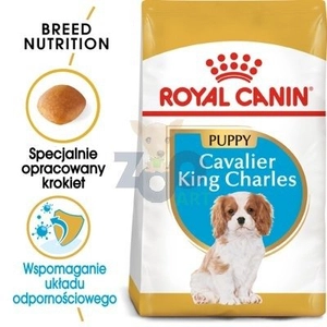 ROYAL CANIN Cavalier King Charles Spaniel Puppy 1,5kg karma sucha dla szczeniąt do 10 miesiąca, rasy cavalier king charles spaniel