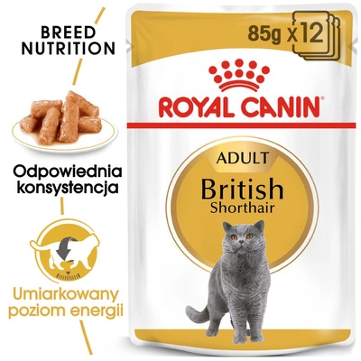 ROYAL CANIN British Shorthair Adult saszetka 12x85g (Sos) karma mokra w sosie dla kotów dorosłych rasy brytyjski krótkowłosy