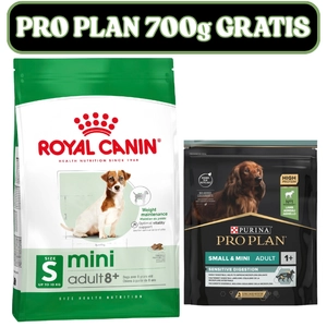 ROYAL CANIN Mini Adult +8  8kg karma sucha dla psów starszych od 8 do 12 roku życia, ras małych