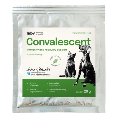 Lab-v Convalescent - karma paszowa dietetyczna dla psów i kotów 20 g