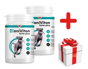 VETOQUINOL Caniviton Forte Plus - Karma Uzupełniająca Dla Psów 2x90 tab + NIESPODZIANKA DLA PSA GRATIS