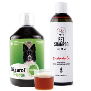 BIOVICO Sizarol Forte 500 ml + PET Shampoo Camomile_Szampon Rumiankowy 250ml Hypoallergenic GRATIS !!!