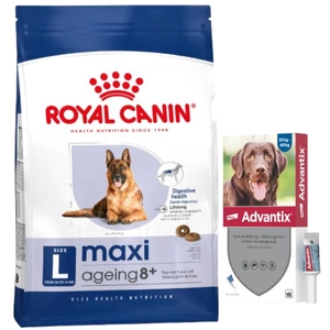 ROYAL CANIN Maxi Ageing 8+ 15kg + Advantix - dla psów 25-40kg (4 pipety x 4ml)