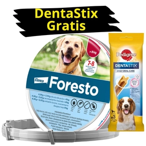 ELANCO Foresto Obroża dla psów powyżej 8kg