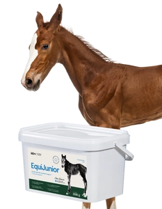 Lab-v EquiJunior Mieszanka paszowa uzupełniająca dla źrebiąt, wspierająca wzrost, rozwój i prawidłowe żywienie młodych koni i kucyków 2000g