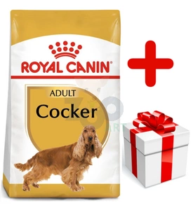 ROYAL CANIN Cocker Spaniel Adult 12kg karma sucha dla psów dorosłych rasy cocker spaniel + niespodzianka dla psa GRATIS!