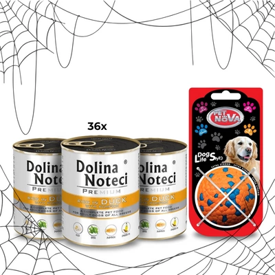 Dolina Noteci Premium Kaczka z dynią 36x800g + piłka