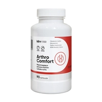 Lab-v Arthro Comfort – Kompleksowe wsparcie zdrowia stawów oraz układu ruchu dla psów i kotów 90 kapsułek