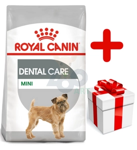 ROYAL CANIN CCN Mini Dental Care 8kg  + niespodzianka dla psa GRATIS!