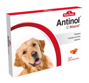 BIOVICO ANTINOL SIZAROL PIES 30 kapsułek NA STAWY