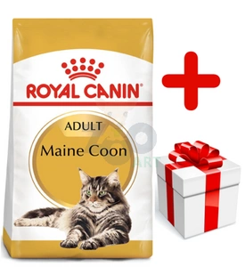 ROYAL CANIN Maine Coon Adult 10kg + niespodzianka dla kota GRATIS!