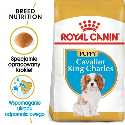 ROYAL CANIN Cavalier King Charles Spaniel Puppy 1,5kg karma sucha dla szczeniąt do 10 miesiąca, rasy cavalier king charles spaniel