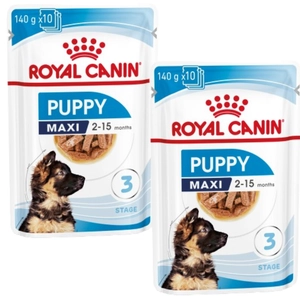 ROYAL CANIN Maxi Puppy 20x140g