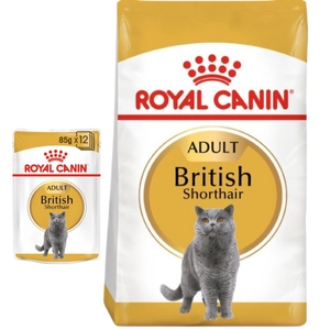 ROYAL CANIN British Shorthair 2kg + 12x British Shorthair Adult saszetka 85g (Sos)