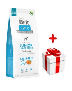 BRIT CARE Dog Grain-free Junior Large Breed Salmon 12kg + niespodzianka dla psa GRATIS!