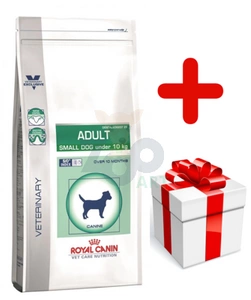 ROYAL CANIN Adult Small Dog 8 kg  + niespodzianka dla psa GRATIS!