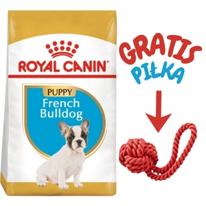 ROYAL CANIN French Bulldog Puppy 3kg karma sucha dla szczeniąt do 12 miesiąca, rasy bulldog francuski + Royal Canin Piłka dla psa GRATIS!!
