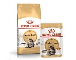 ROYAL CANIN Maine Coon Adult 10kg karma sucha dla kotów dorosłych rasy maine coon + saszetka Maine Coon Adult 12x85g