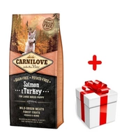 Carnilove Salmon & Turkey for Large Breed Puppy 12kg + niespodzianka dla psa GRATIS!