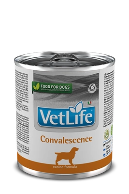 Farmina Vet Life Convalescence Dog 300g