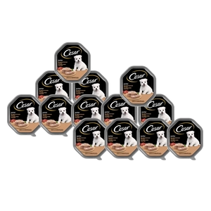 CESAR Junior tacka 14x150 g – mokra karma pełnoporcjowa dla szczeniąt, z indykiem i cielęciną, w pasztecie