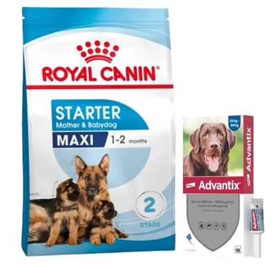 ROYAL CANIN Maxi Starter Mother&Babydog 15kg + Advantix - dla psów 25-40kg (4 pipety x 4ml)