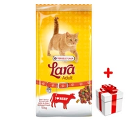 VERSELE-LAGA Lara Adult Beef 10kg + niespodzianka dla kota GRATIS!