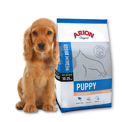 arion salmon puppy