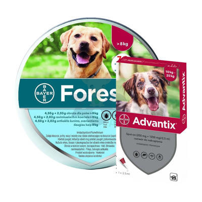 BAYER Foresto Obroża dla psów powyżej 8kg + Advantix - dla psów 10-25kg (4 pipety x 2,5ml)