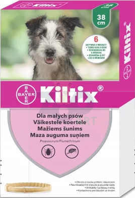 BAYER Kiltix Obroża dla małych psów 38cm + niespodzianka dla psa GRATIS!
