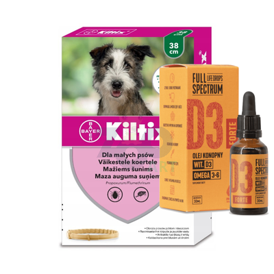 BAYER Kiltix Obroża dla małych psów 38cm + olej konopny - witamina D3 Forte 30ml (dla ludzi)