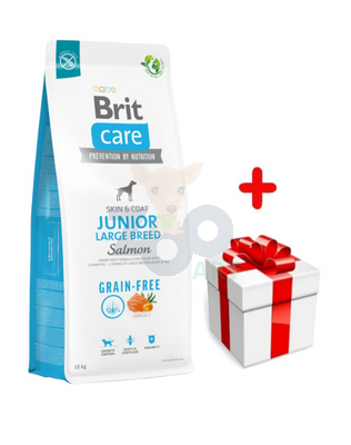 BRIT CARE Dog Grain-free Junior Large Breed Salmon 12kg + niespodzianka dla psa GRATIS!