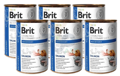 BRIT GF Veterinary Diets Recovery Salmon 6x400g - karma mokra dla psa i kota
