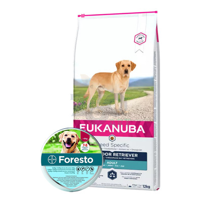 EUKANUBA Adult Labrador Retriever 12kg + BAYER Foresto Obroża dla psów powyżej 8kg