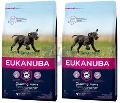 EUKANUBA Puppy&Junior Large Breed 2x15kg
