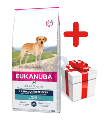 Eukanuba adult labrador retriever 12kg + niespodzianka dla psa GRATIS!