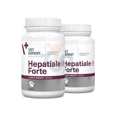 Hepatiale Forte Large Breed  2 x 40 tab.