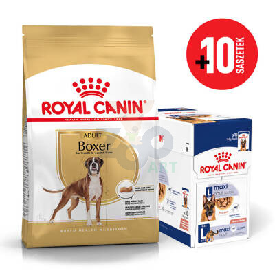 ROYAL CANIN Boxer Adult 12kg karma sucha dla psów dorosłych rasy bokser + karma mokra GRATIS!