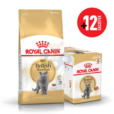 ROYAL CANIN British Shorthair 10kg karma sucha dla kotów dorosłych rasy brytyjski krótkowłosy + karma mokra GRATIS!
