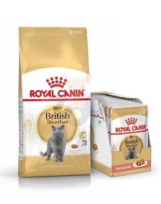 ROYAL CANIN British Shorthair 10kg + saszetka british adult (Sos) 12x85g