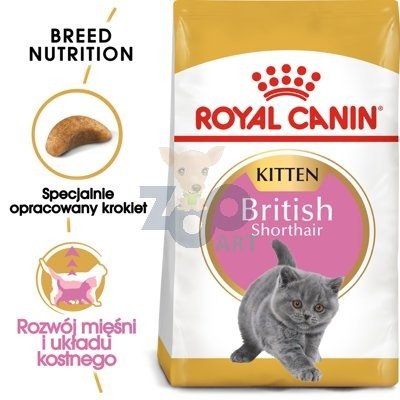 ROYAL CANIN British Shorthair Kitten 2kg + niespodzianka dla kota GRATIS!