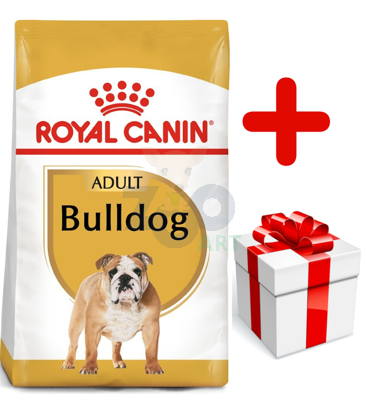 ROYAL CANIN Bulldog Adult 12kg karma sucha dla psów dorosłych rasy bulldog + niespodzianka dla psa GRATIS!