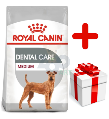 ROYAL CANIN CCN Medium Dental Care 10kg + niespodzianka dla psa GRATIS!