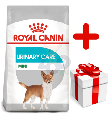 ROYAL CANIN CCN Mini Urinary Care 8kg + niespodzianka dla psa GRATIS! 