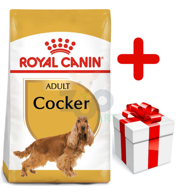 ROYAL CANIN Cocker Spaniel Adult 12kg karma sucha dla psów dorosłych rasy cocker spaniel + niespodzianka dla psa GRATIS!