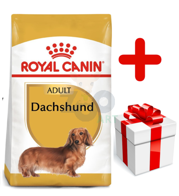 ROYAL CANIN Dachshund 7,5kg karma sucha dla psów dorosłych rasy jamnik + niespodzianka dla psa GRATIS!