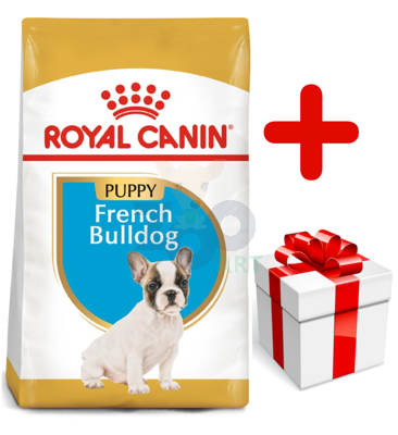 ROYAL CANIN French Bulldog Puppy 10kg karma sucha dla szczeniąt do 12 miesiąca, rasy bulldog francuski + niespodzianka dla psa GRATIS!