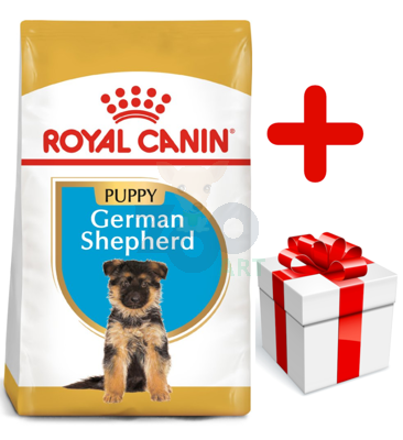 ROYAL CANIN German Shepherd Puppy 12kg karma sucha dla szczeniąt do 15 miesiąca, rasy owczarek niemiecki  + niespodzianka dla psa GRATIS!