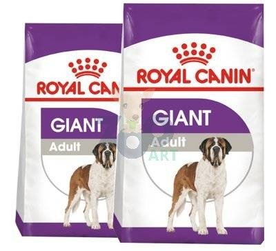 ROYAL CANIN Giant Adult 2x15kg karma sucha dla psów dorosłych, od 18/24 miesiąca życia, ras olbrzymich